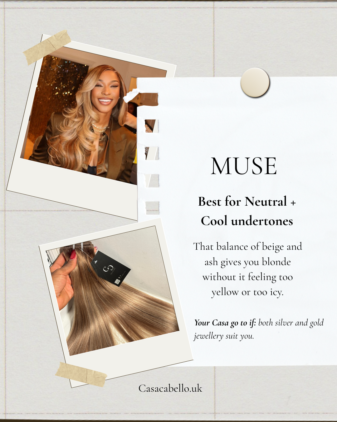 MUSE - Beige Ash Blonde Bundle