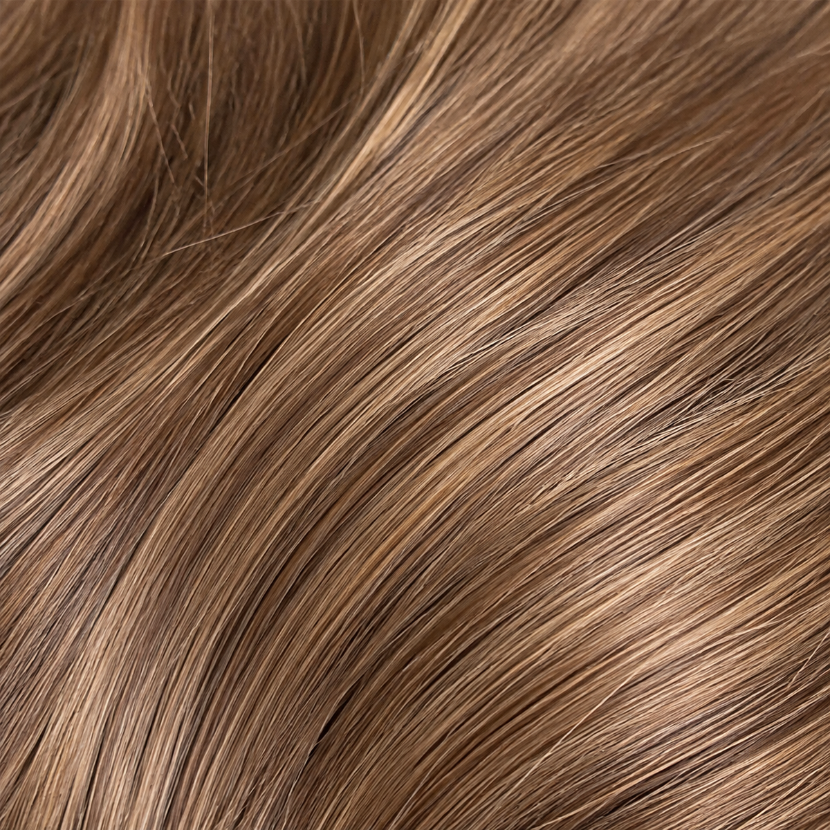 MUSE - Beige Ash Blonde Bundle
