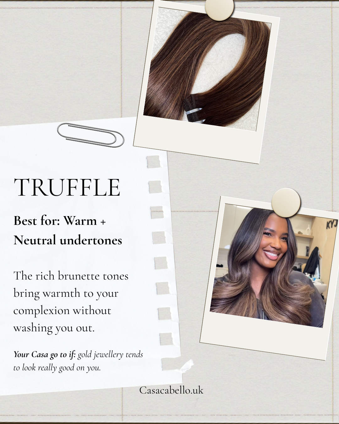 TRUFFLE - Dimensional Brunette Bundle